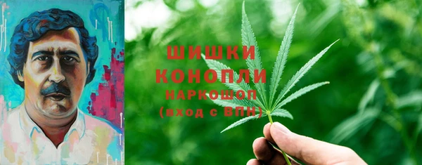 дживик Верхний Тагил