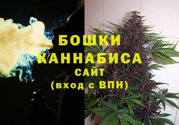 бошки Верея