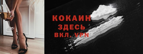 дживик Верхний Тагил