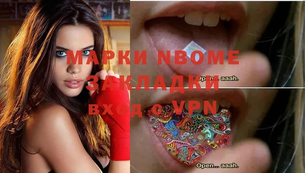 дживик Верхний Тагил