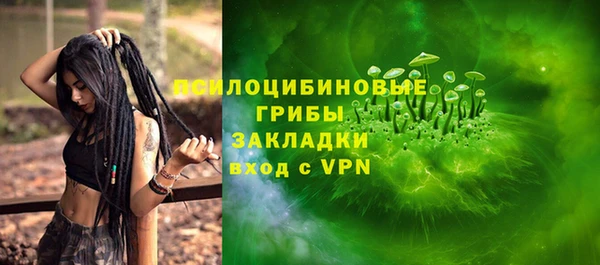 дживик Верхний Тагил