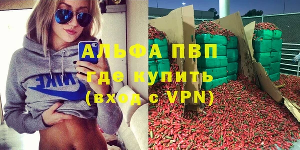 дживик Верхний Тагил