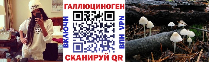 где продают   Буй  мориарти наркотические препараты  Псилоцибиновые грибы мухоморы 
